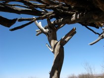 Wooden Archway, Bisbee, Lisa O'Neill