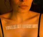 Vogel, Dictionary Project author photo